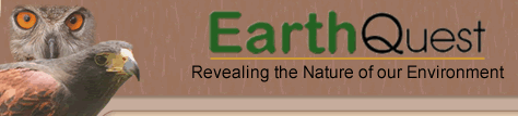 Earth Quest